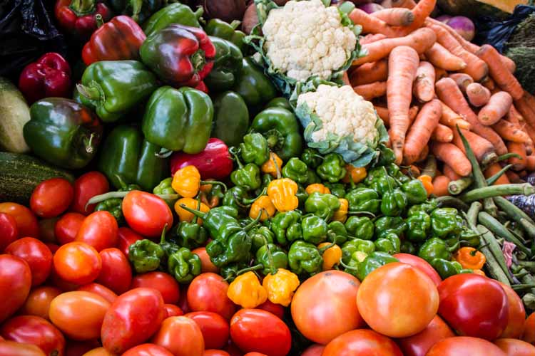 Quels sont les avantages de la culture de légumes en plein champ ? Hyères