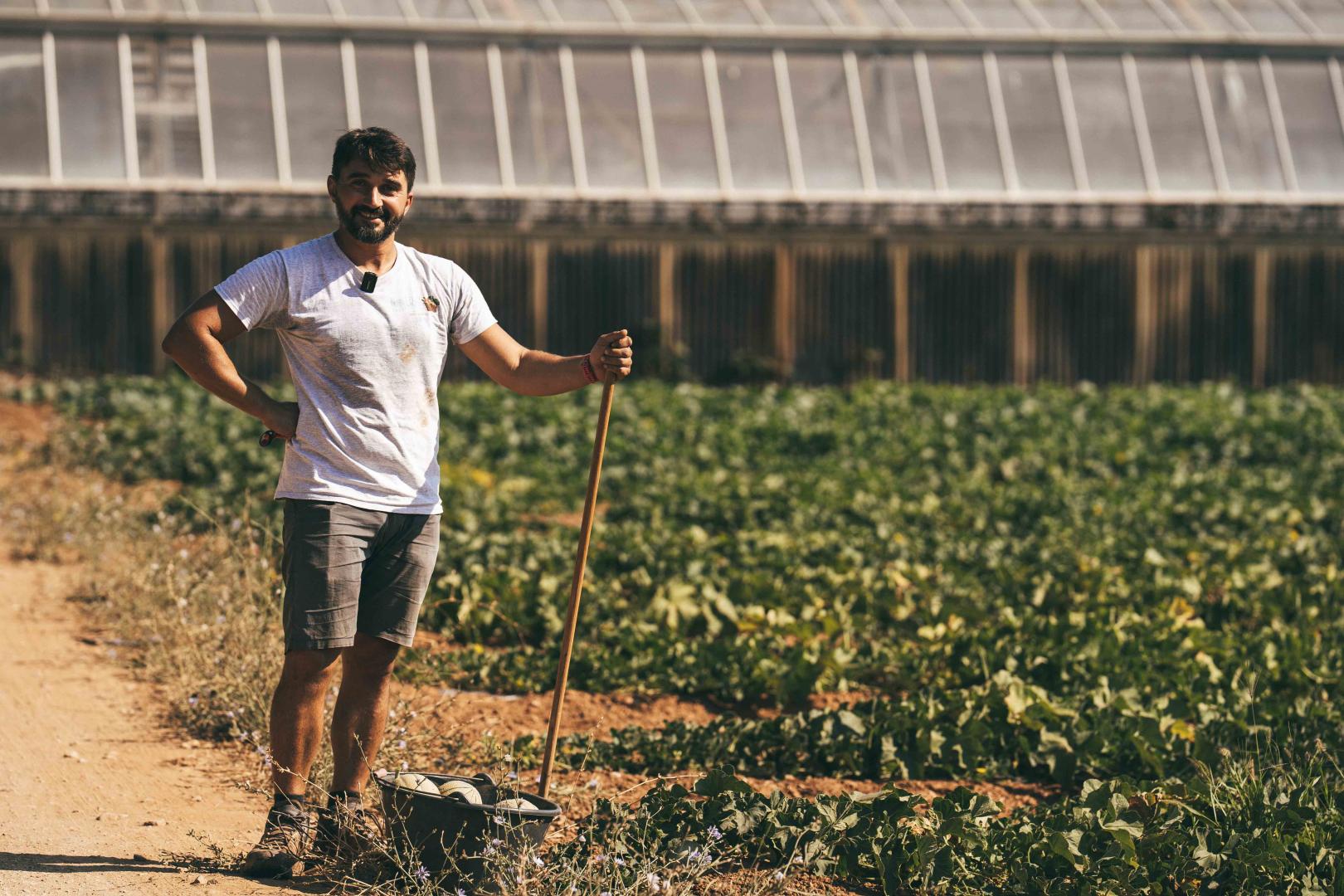 Vente de légumes de saison Hyères