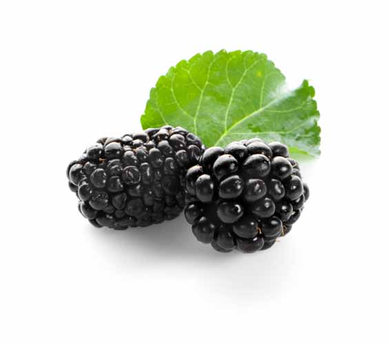 Quels sont les bienfaits des fruits ? Hyères